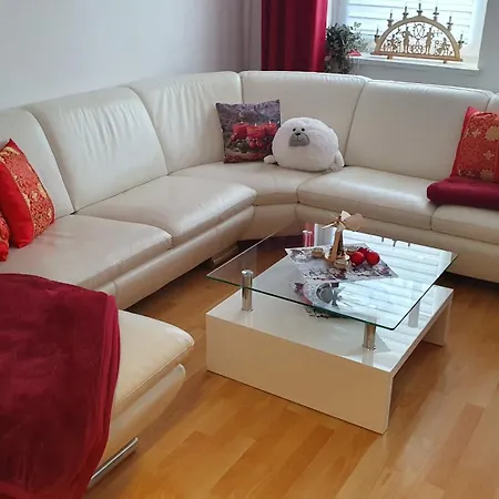 Apartamento Anna Mitten Im Erzgebirge